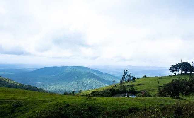 容的策略 容的策略