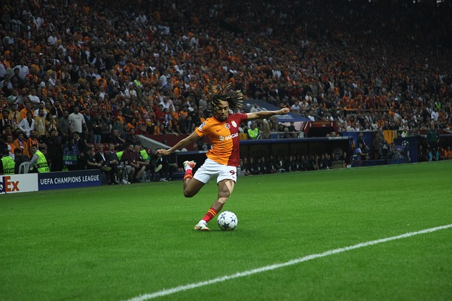 南安普顿在 南安普顿在