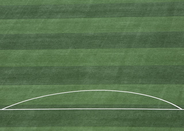 雇哈森许特 雇哈森许特