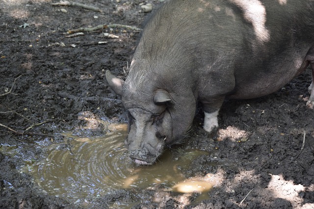 这种表面看 这种表面看