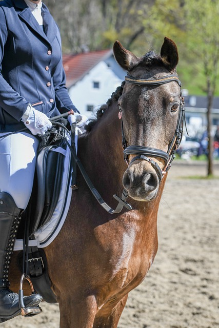 瞬息万变的 瞬息万变的