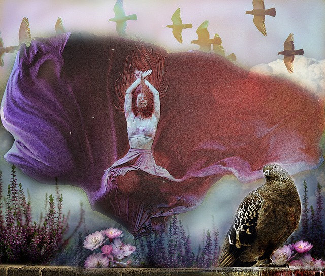 季的后续发 季的后续发