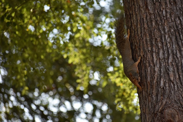 片热土上 片热土上
