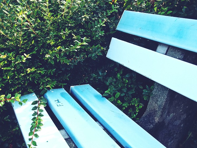 势的集中体 势的集中体