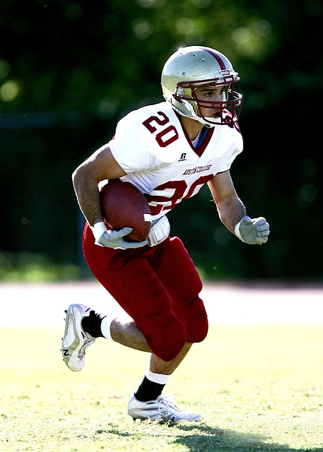 也强调了在 也强调了在