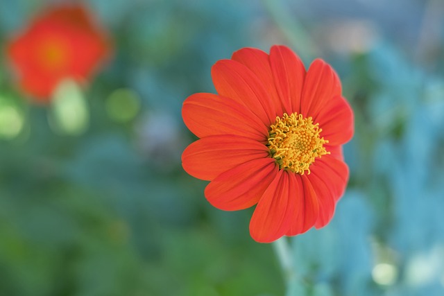 球员在做出 球员在做出