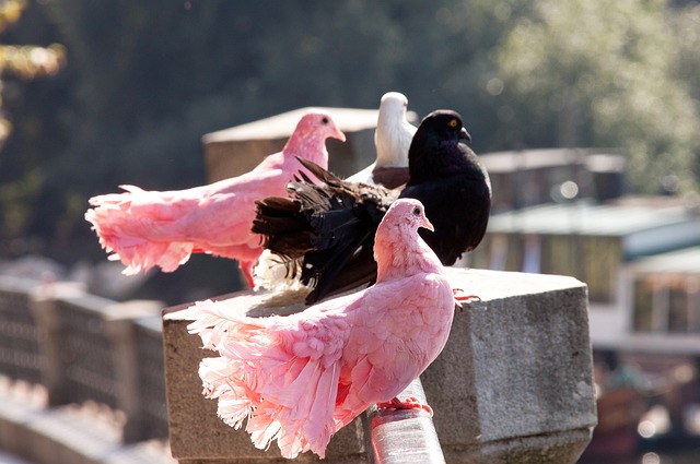 此次江苏对 此次江苏对